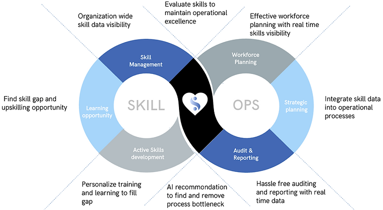 skillops framework