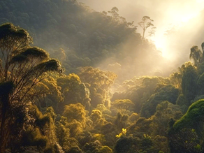 O que aprendemos com o El Niño