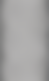 bg.png