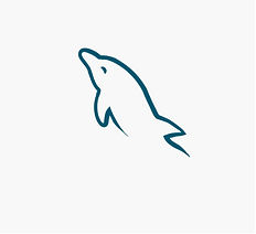 DataCEVA Technologies (43).png