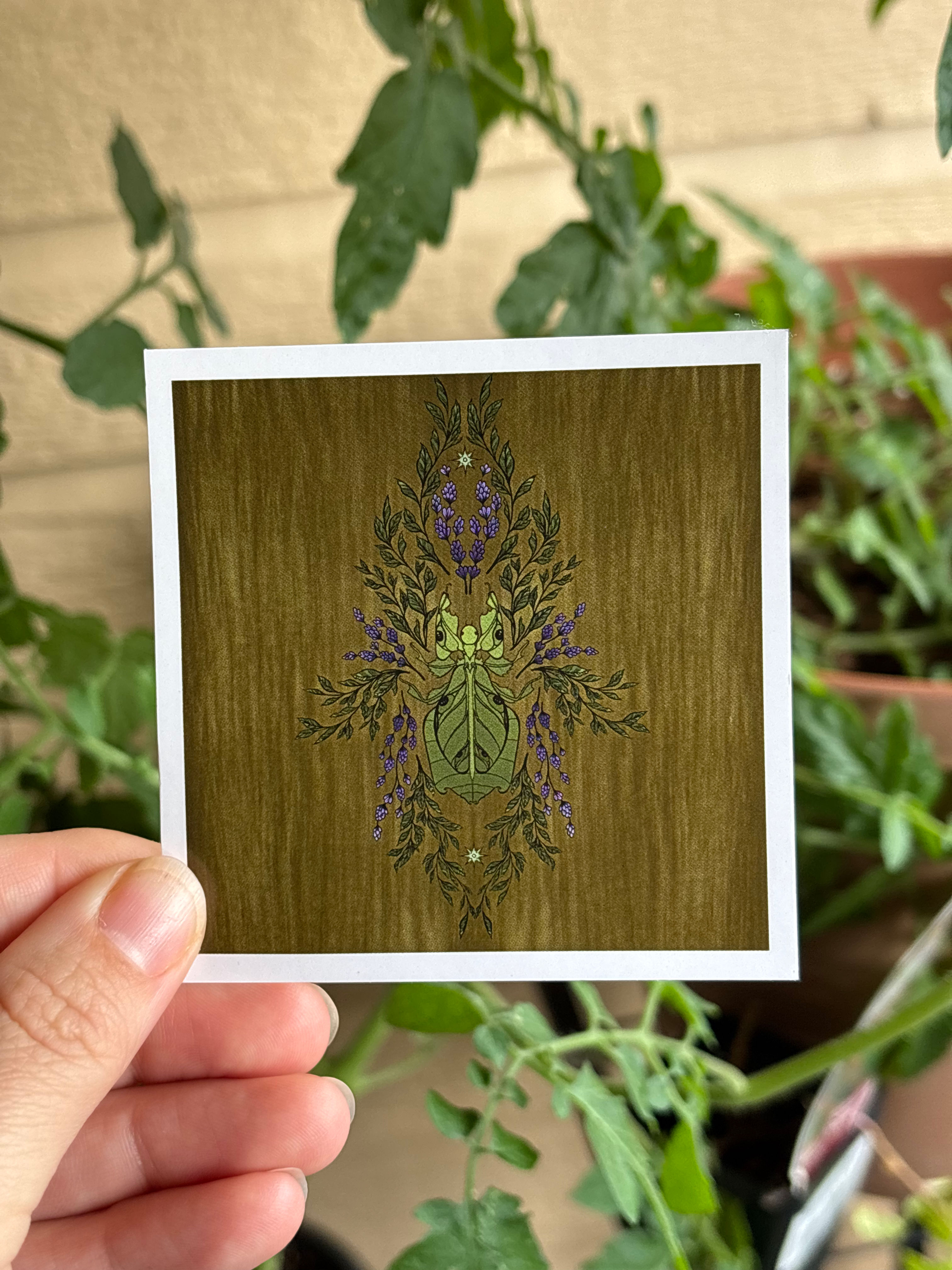Lavender Leaf Sticker
