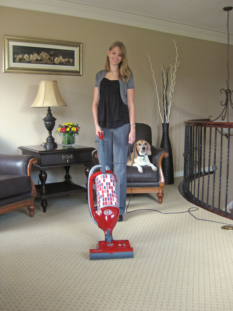 Thumbnail: SEBO Felix Upright Vacuum Cleaner