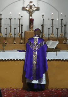 St Albert Wix Gif Home 1.gif