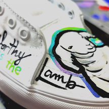 Canvas VANS