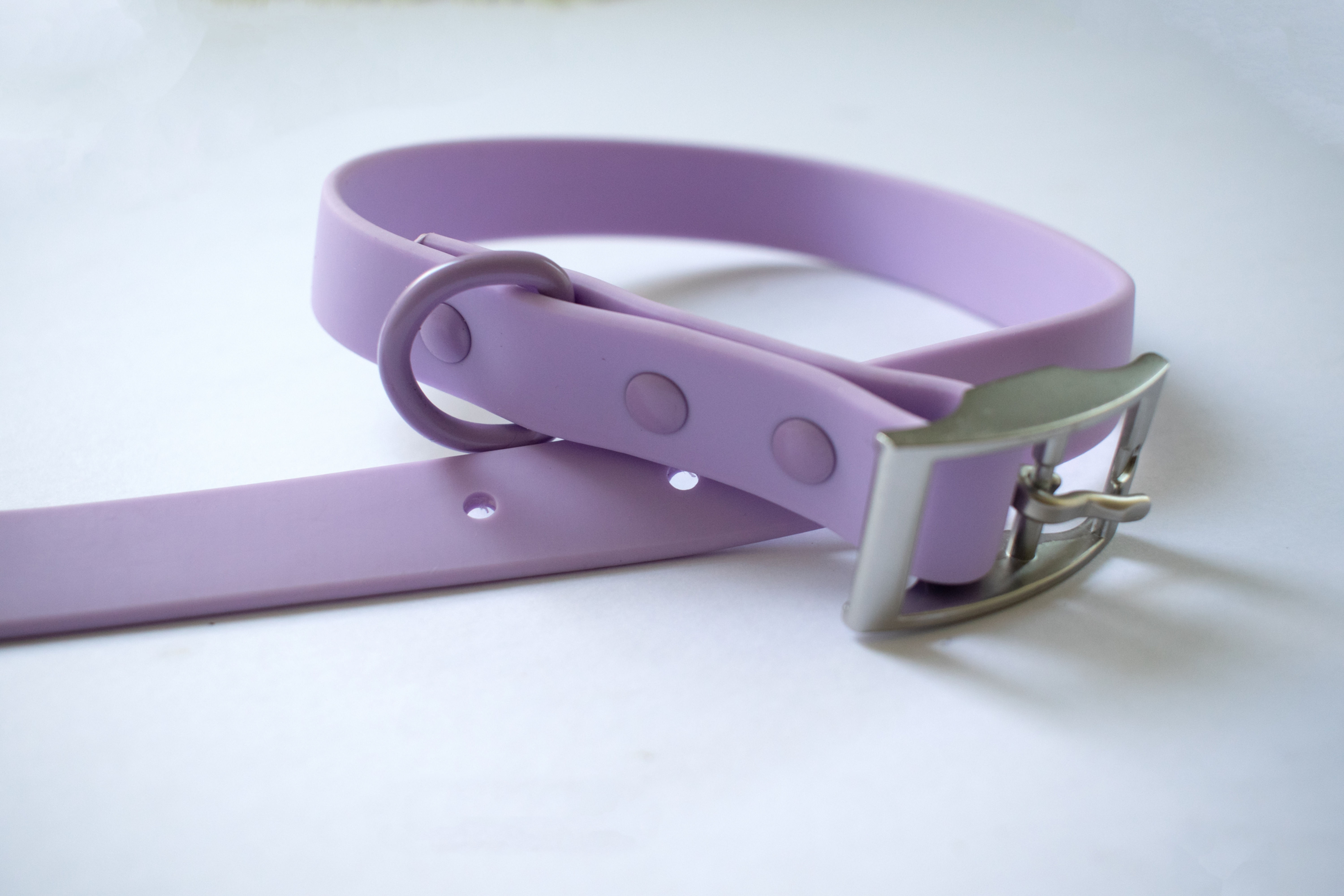 Lavender Haze קולר לכלב