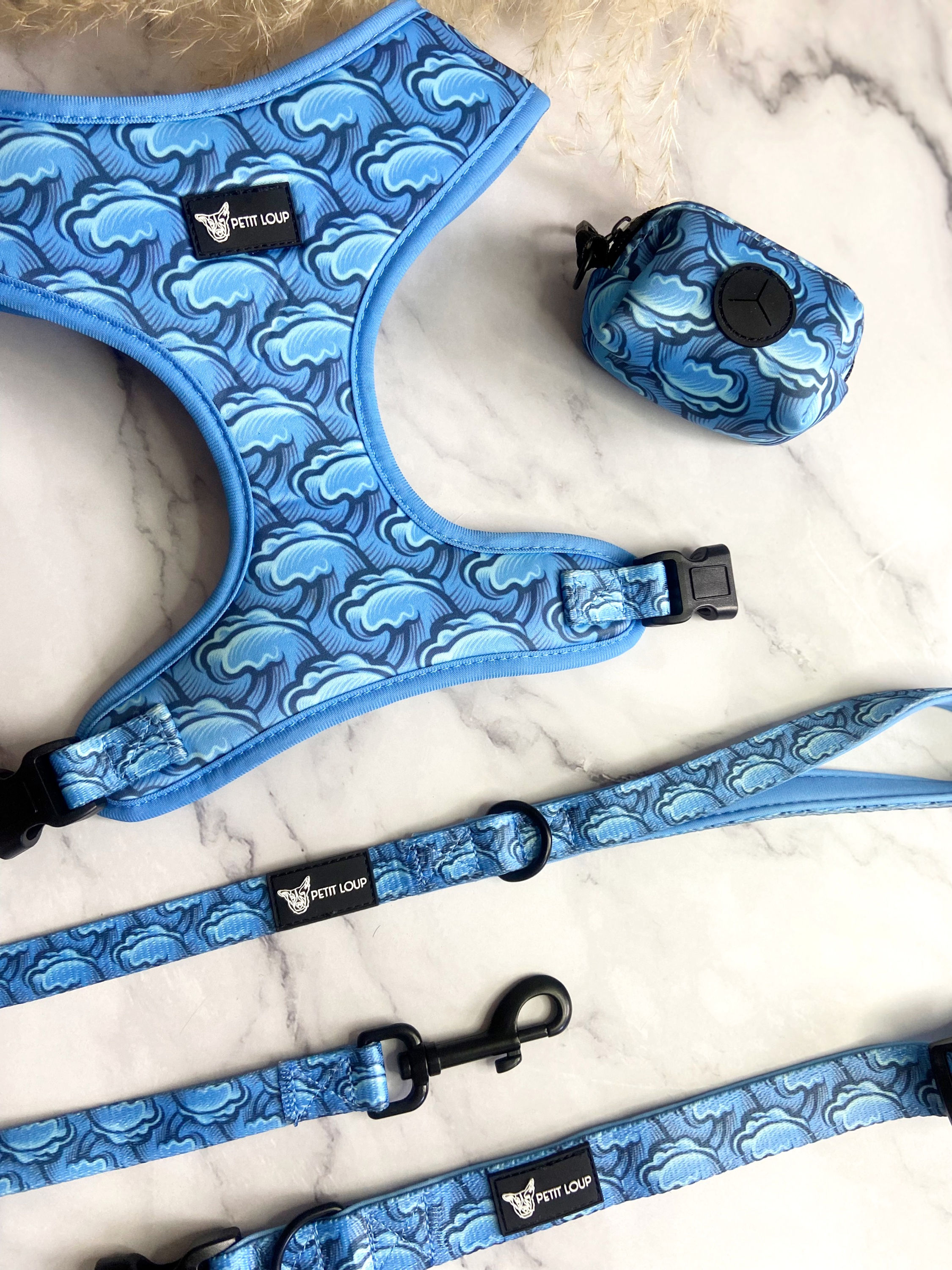 סט לכלב -Wave Rider