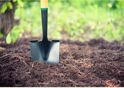 Top Dressing