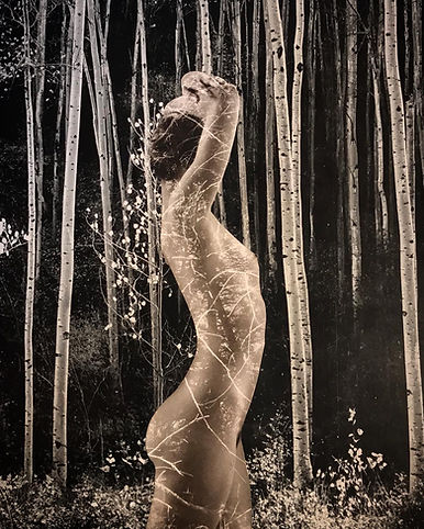 nude woman in the forest