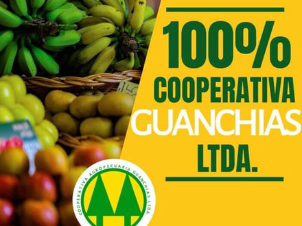 Banadesa aprueba 25 millones de Lempiras a la Cooperativa Guanchías LMTDA