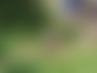 Santa Rita, Yoro: Asesinan a José Olvin Rodríguez Reyes en el sector de Piletas