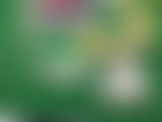 6/12大三元