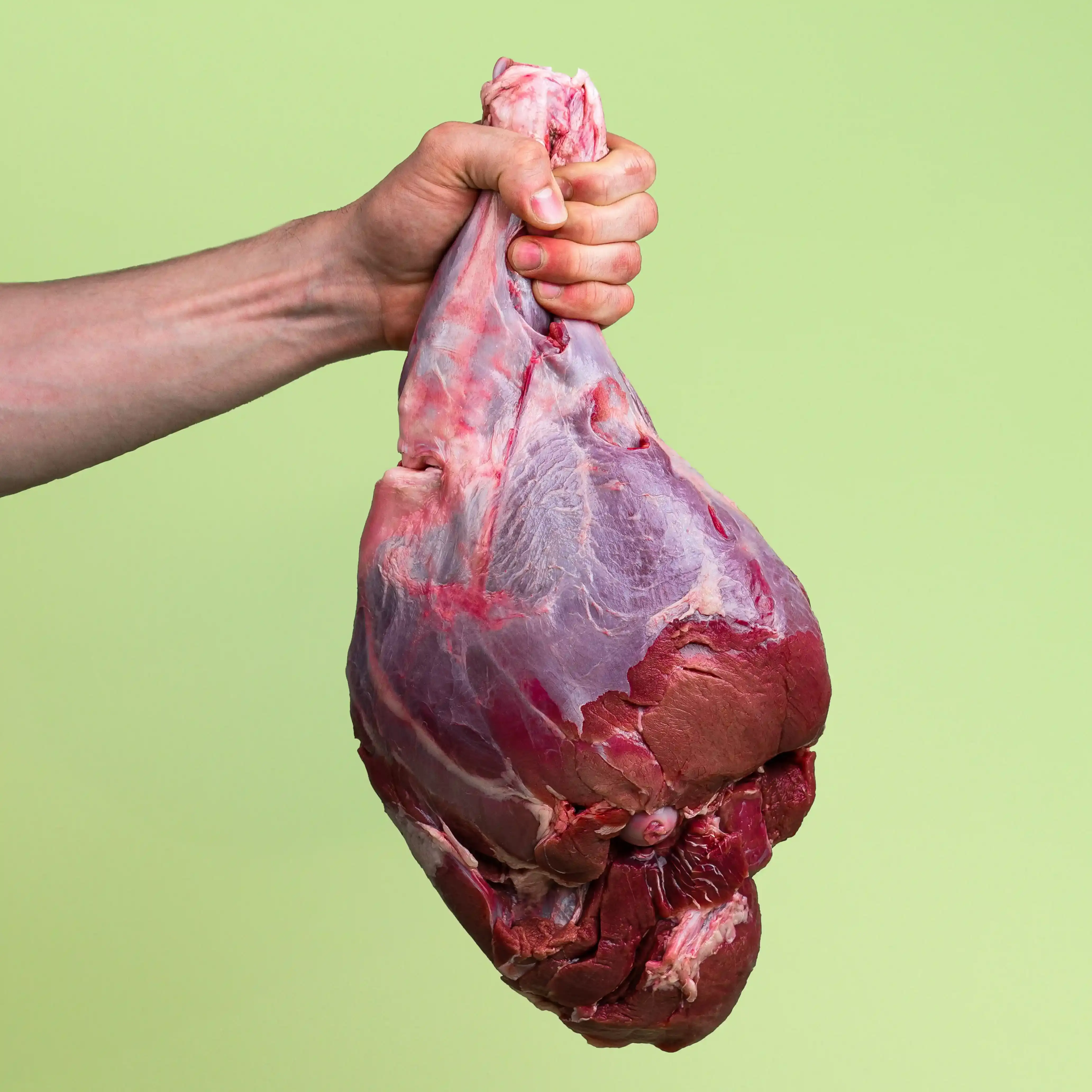 Obelix Wildschwein Keule frontal