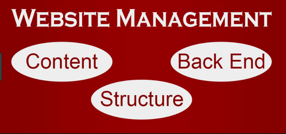 Reasons for Using The Services of a Marketing Company