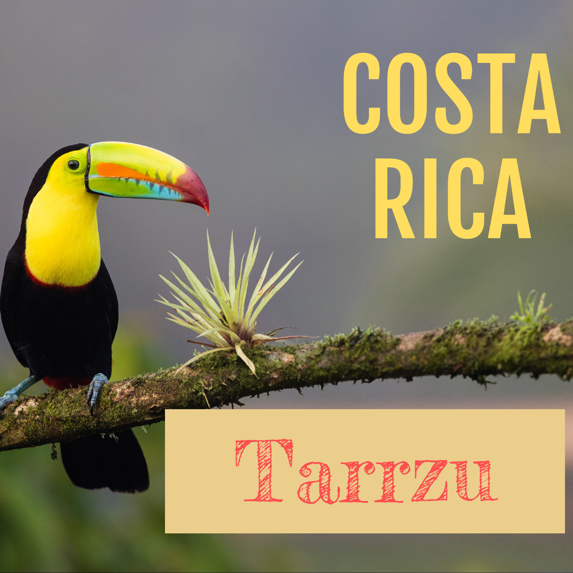 costa rica