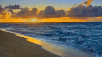 0279e6b012ba6fe706d26a96b14534c5.gif