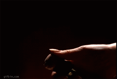 sexy cork popping.gif