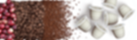 Le café en fruit, grain, moulu et sous capsule Terramoka 100% biodégradable, 0% aluminium, capsule expresso, capsule biodégradable