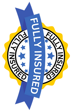 FULLY INSURED.png.PNG