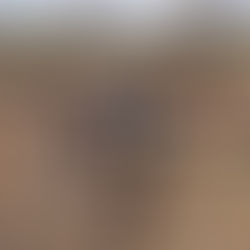 PRECISION AGRICULTURE IN EXTREME CONDITIONS