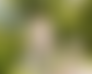 TRENDSPOTTING og Verdensmålene