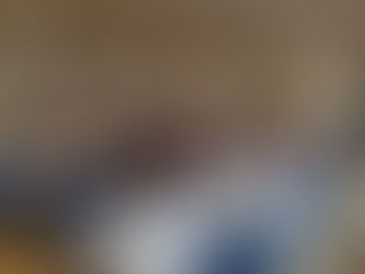 Nørre Løgum i Sønderjylland (BLUP landsby 2021)