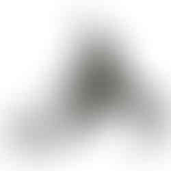 Ancre pour trottinette ou traineau à chiens.