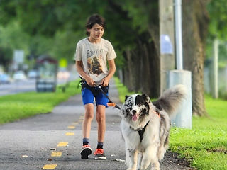 Nicolas Barber et son chien Chandler qui pratique la cani-marche sur la piste du Boulevard du Fort St-Louis à Boucherville.