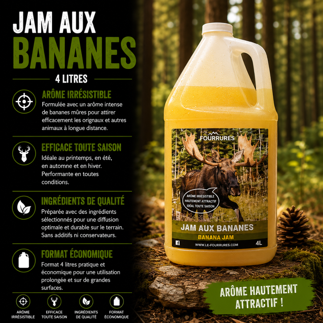 Jam aux bananes 4L