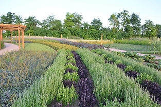 Eminence_Organic_Farm_08-1.jpg