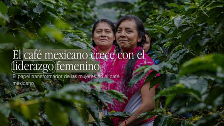 Empoderando a las mujeres en la industria del café en México