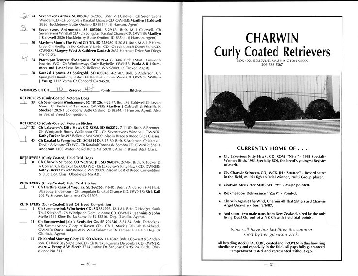 Curly Coated Retriever CCRCA championship show 1988 catalogue
