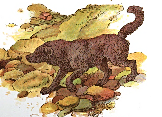 Yarmouth Water Dog Illustration
