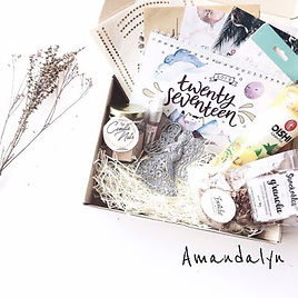 amandalyn dec.jpg