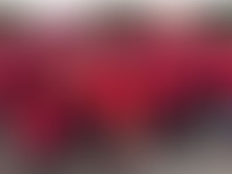 Jersey win the Home Nations Petanque Event