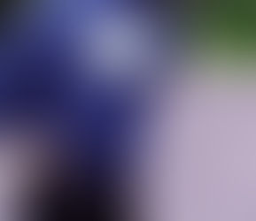 Pointing the final phase for a successful throw 5 ?