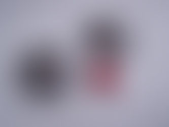 Hope you all had a lovely Christmas and had chance to throw boule