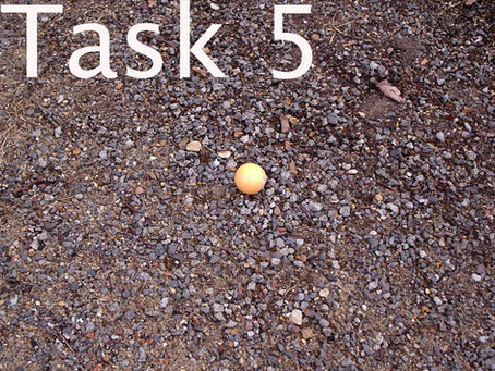 Petanque Shooting Competition Part 5