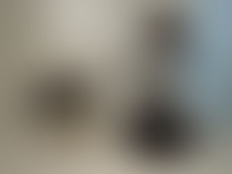 The humble leisure boule. The starting boule for so many players