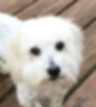 Theodore