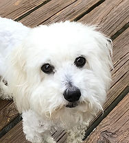 Theodore
