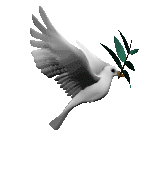 gif paz.gif