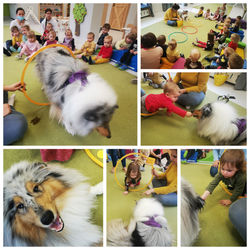 InShot_20220126_121934023