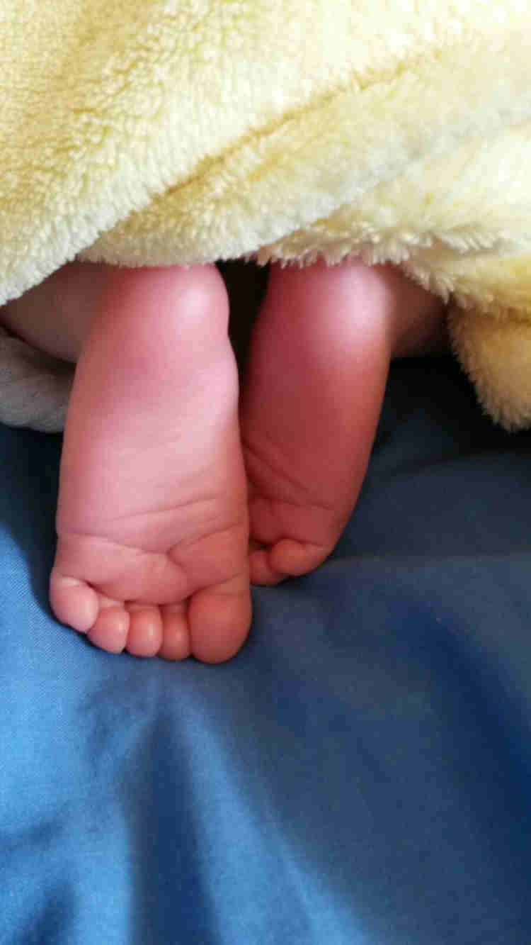 סטטוס דיאטה האם אפשר לשנותו לאימון לתזונה?