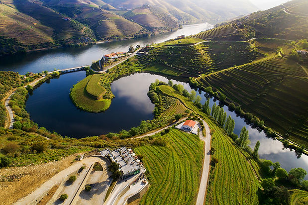Terraced vineyards and Douro River view on a Douro Valley wine tour from Porto