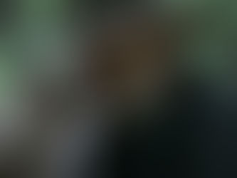 Review: 'News Of The World' (2020) Dir. Paul Greengrass