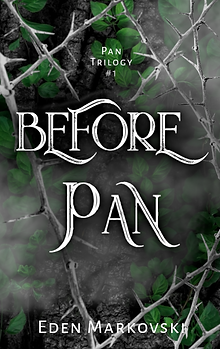 BeforePan_02.png