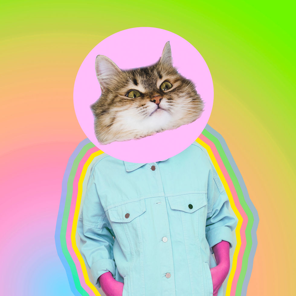 Funny neon alien cat image