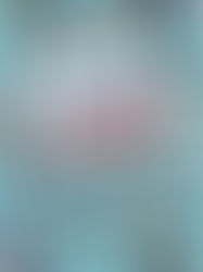 CULT-ASS RELEASE 'WHERE'S LARRY?' ILLUSTRATION BOOK