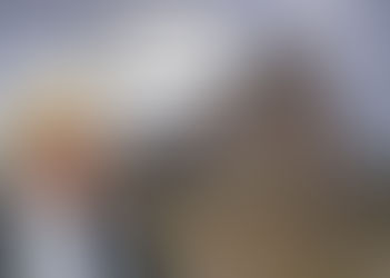 DONALD TRUMP BUILDS WALL SURROUNDING THE CHIEFTAINS