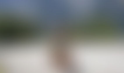 15TH ANNUAL BODHRÁN-ATHLON: DAY 2: BODHRÁN CYCLING